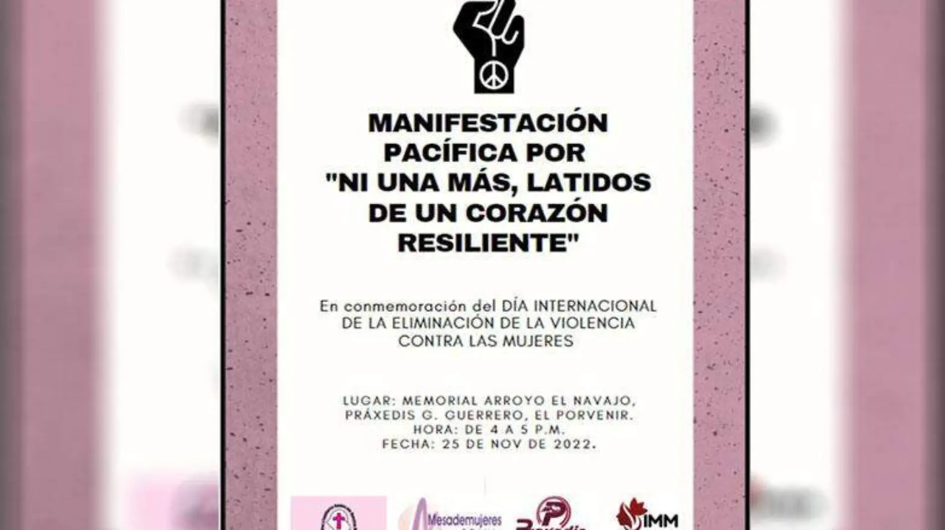 Red Mesa de Mujeres marcha y manifestación 3